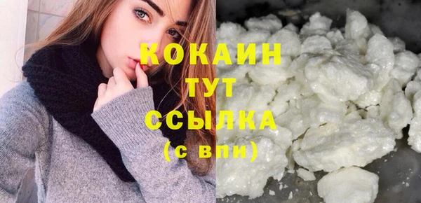 прущие грибы Осинники
