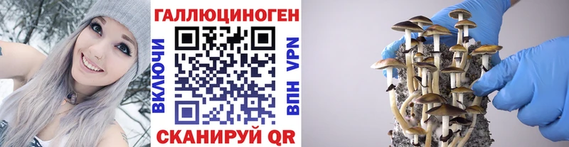 Галлюциногенные грибы мицелий  купить наркотик  Комсомольск 